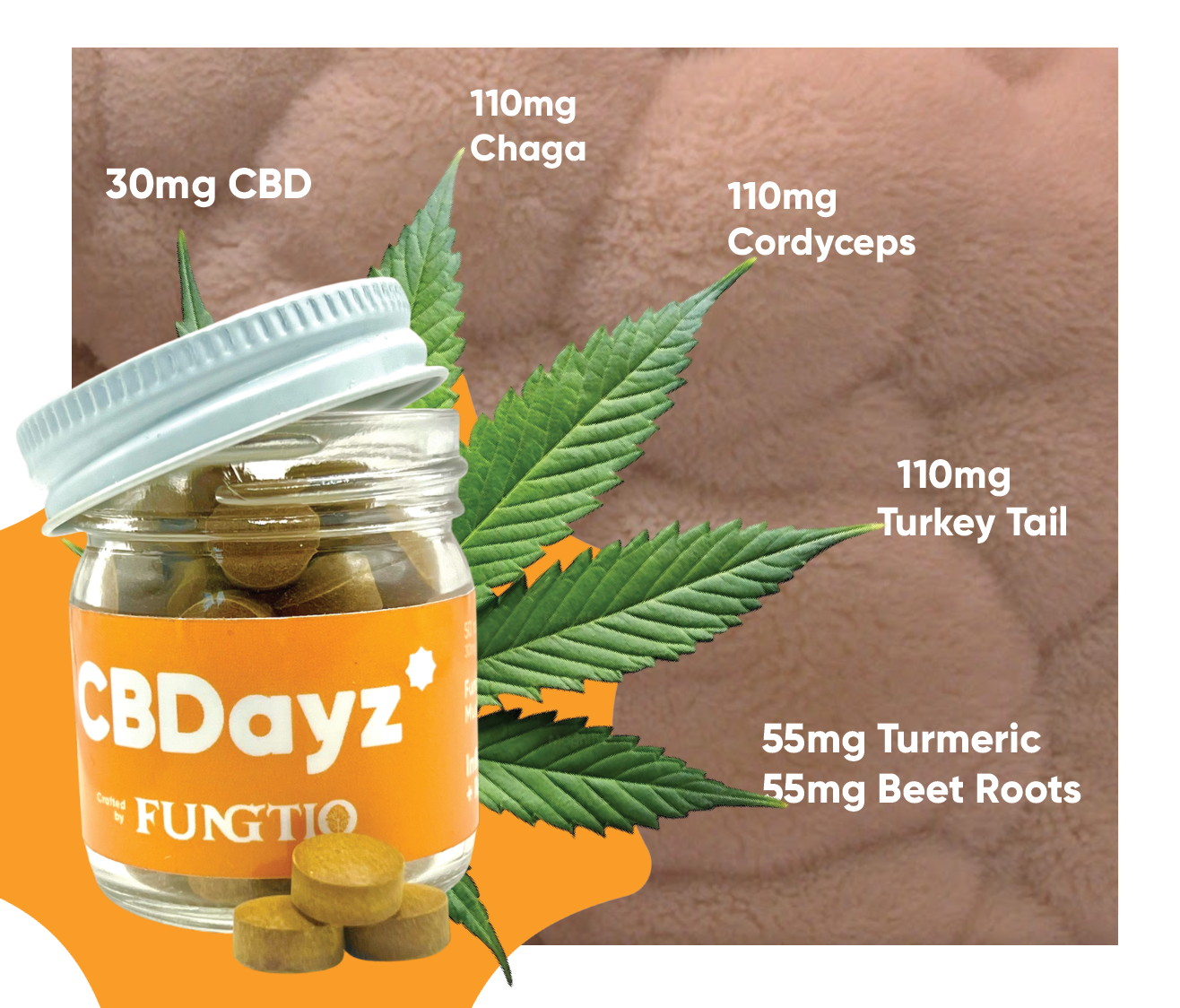 The Ultimate Synergy: When CBD Meets Functional Mushrooms