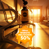 CBDayz Recovery Tincture 3000mg